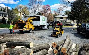 Trusted Pinetop Country Clu, AZ Tree Removal Experts