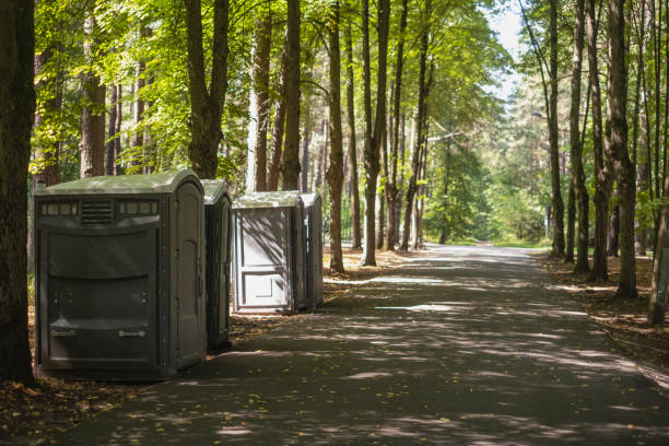 How Our Tree Care Process Works  in  Pinetop Country Clu, AZ